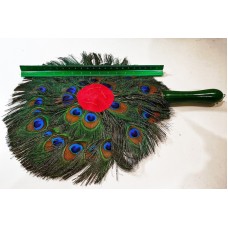 Peacock Feather Fan 2
